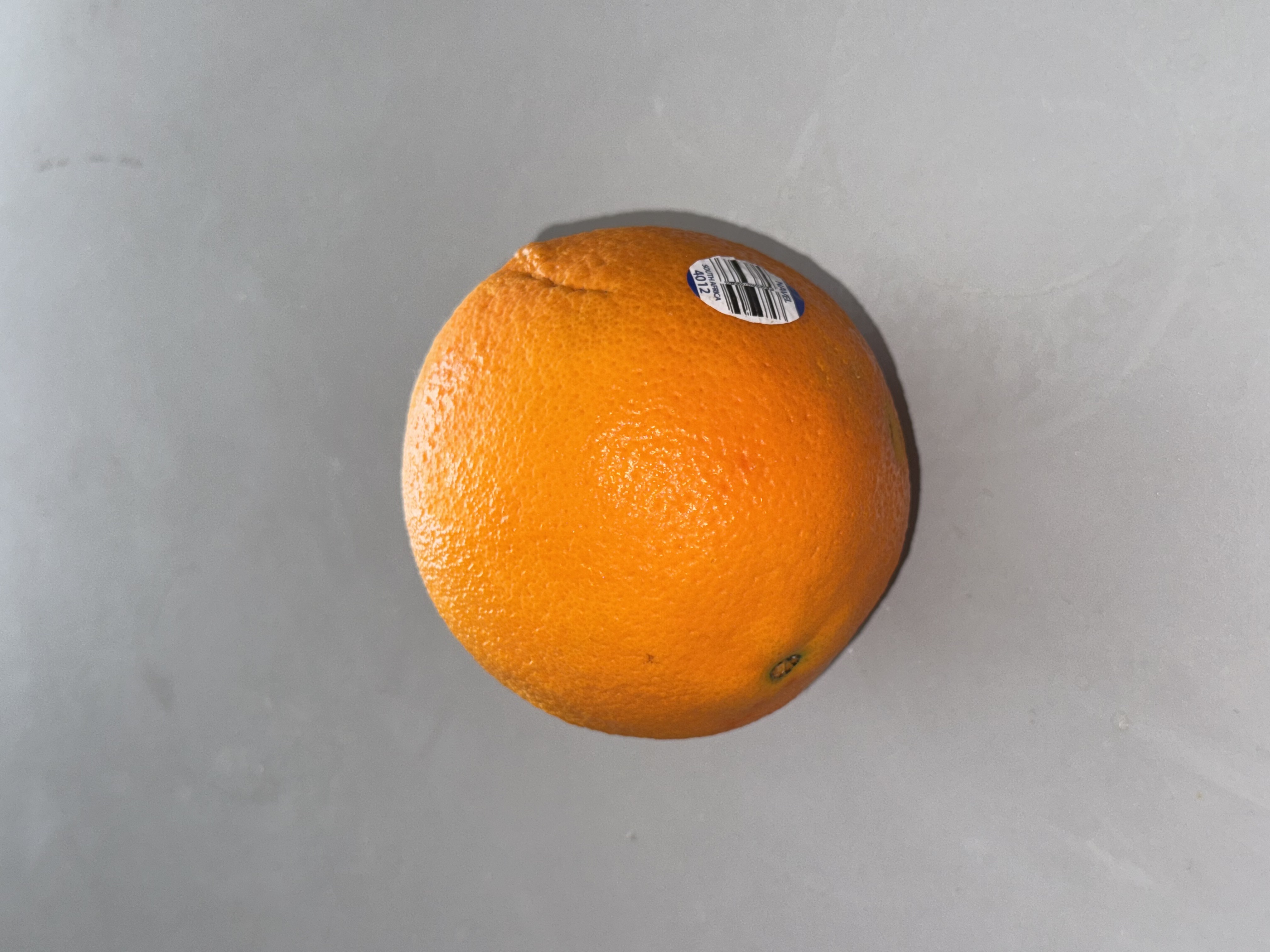 This is a side shot image of an orange.