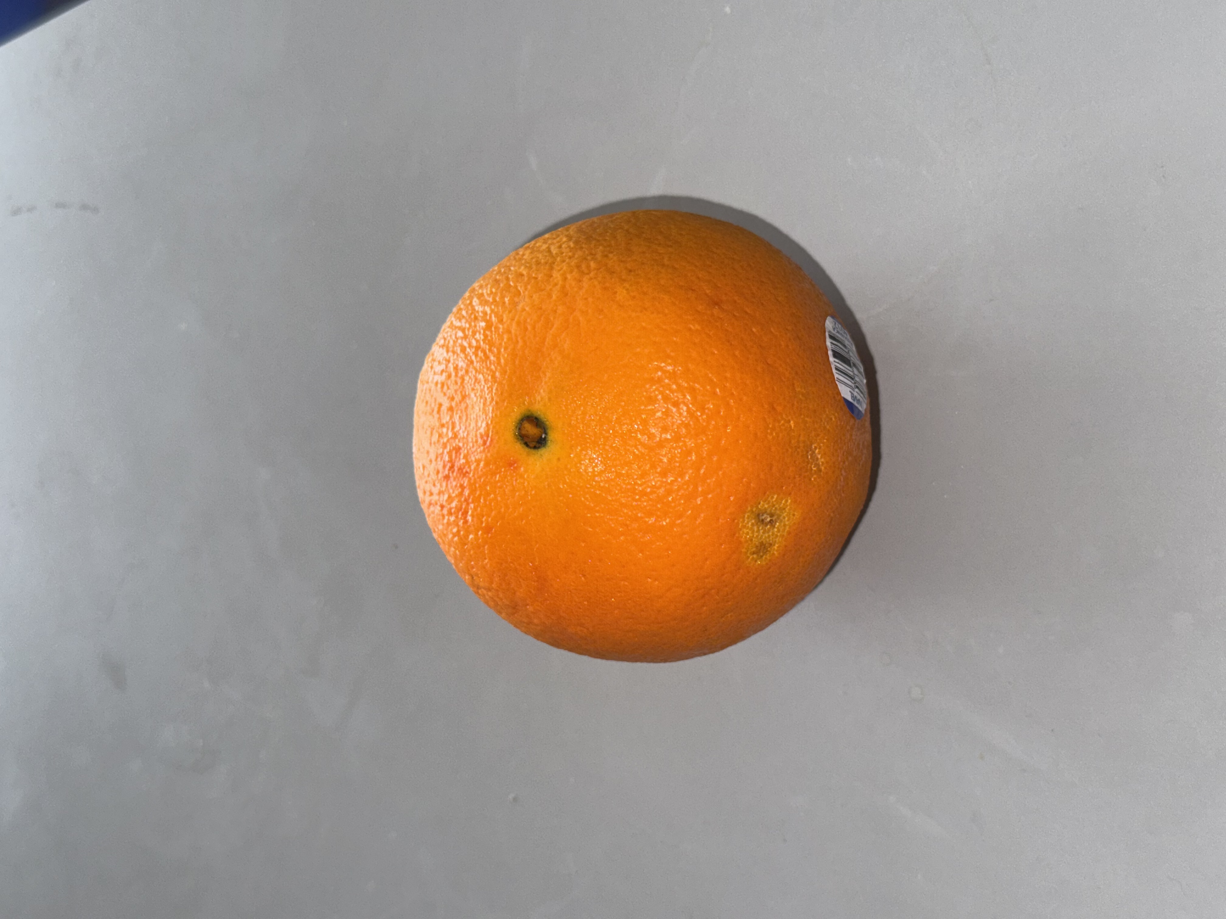 This is a high-angle shot of an orange.